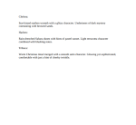 Colour descriptions screenshot