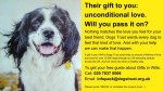 Dogs Trust Legacy insert screenshot